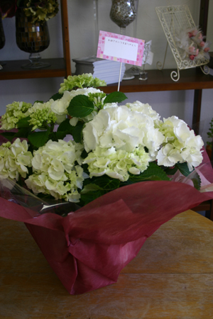 c0175114_2013275.jpg
