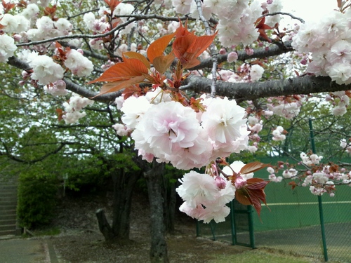 c0150520_23423483.jpg