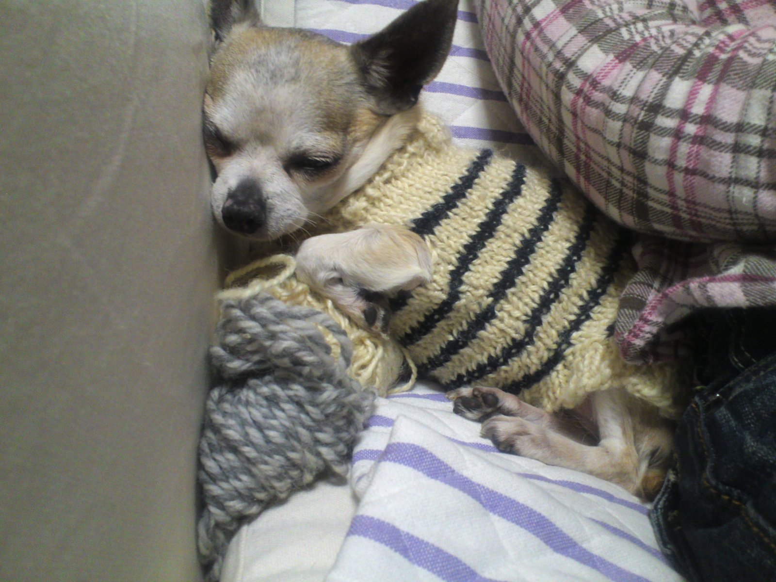 c0150520_2372859.jpg