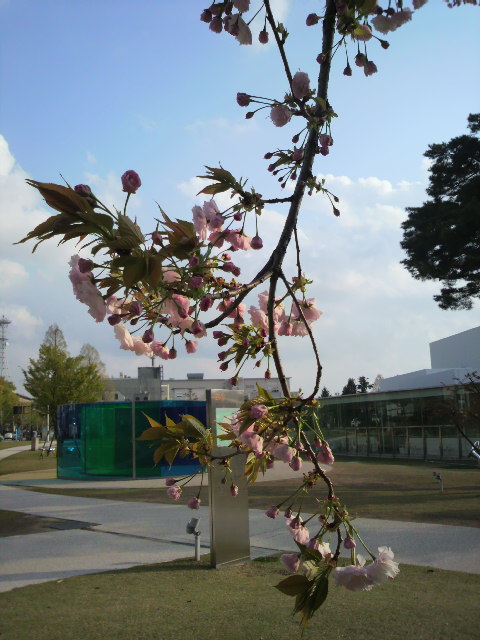 e0123322_11571436.jpg