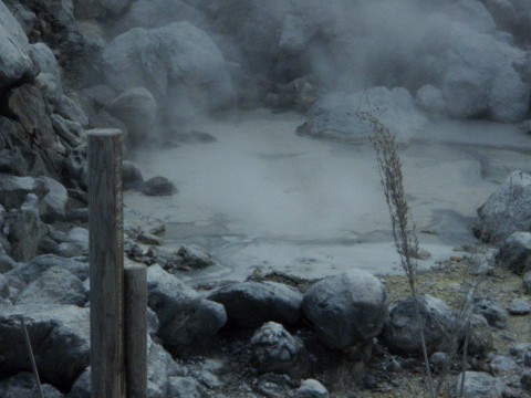 f0157724_3284012.jpg
