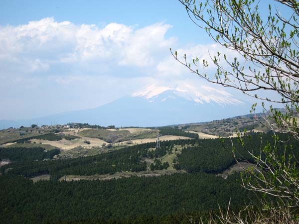 f0147025_13561662.jpg