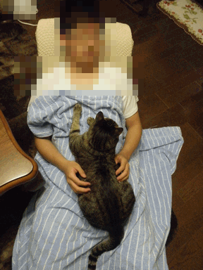 c0136736_16401115.gif