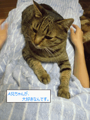 c0136736_16402177.gif