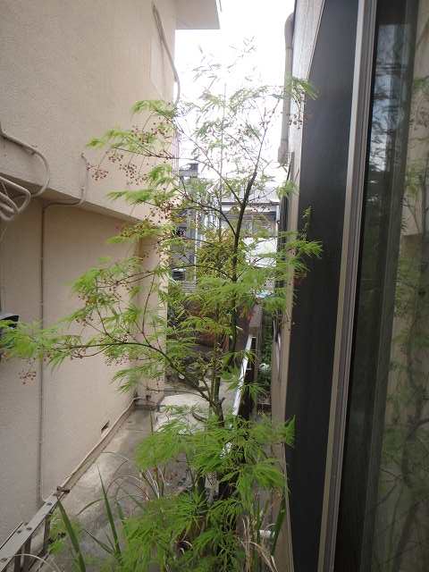 f0208737_8485934.jpg