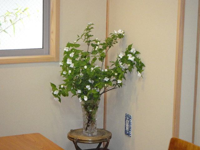 f0208737_850150.jpg
