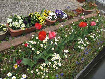 f0051638_22504923.jpg