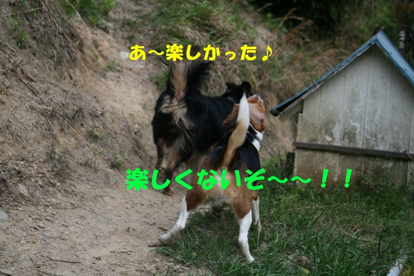 d0077740_20182389.jpg