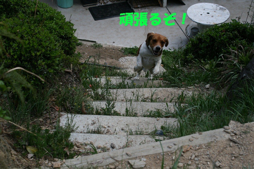 d0077740_20223961.jpg