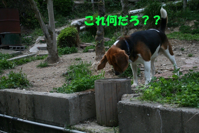 d0077740_20232442.jpg
