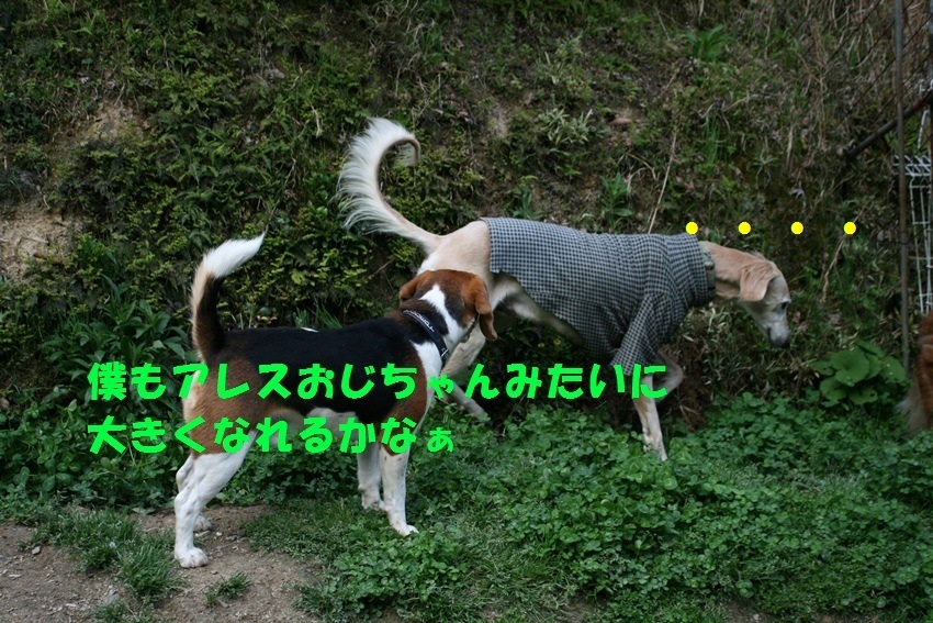 d0077740_2026055.jpg