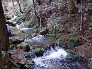 e0110940_5153629.jpg