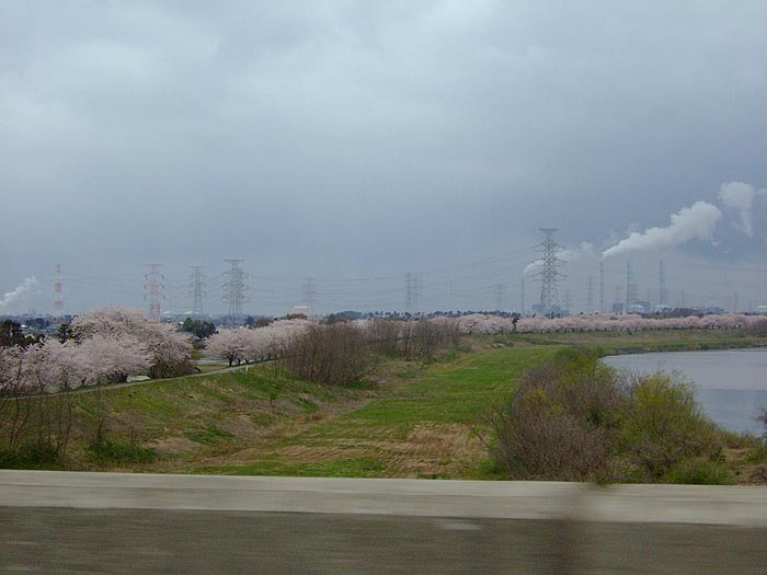 e0006242_171865.jpg
