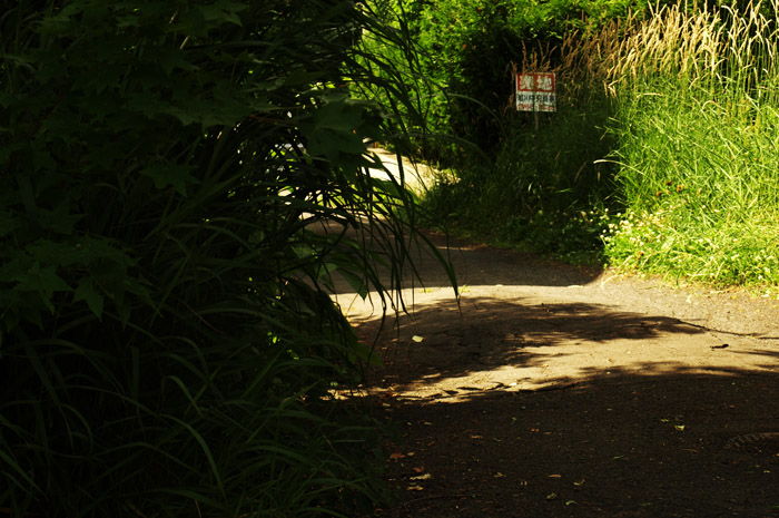 a0174348_1117899.jpg