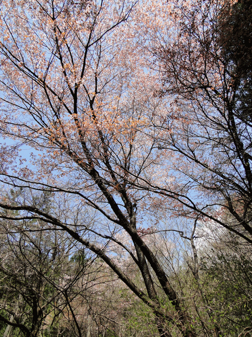 d0163550_2083360.gif