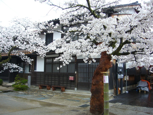 b0174451_742568.jpg