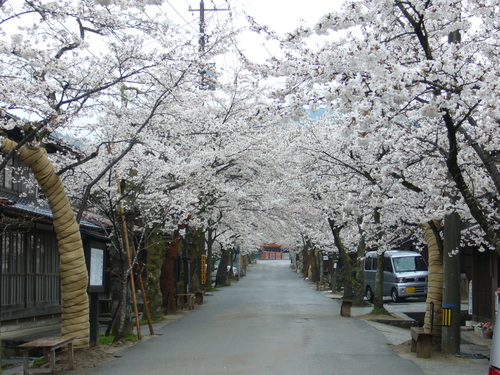 b0174451_7435629.jpg