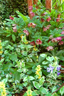 e0025655_555968.jpg