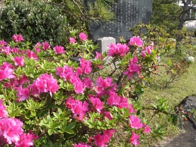 b0208358_9451711.jpg