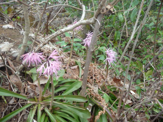 f0208760_9283537.jpg