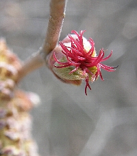 f0035962_1151524.jpg