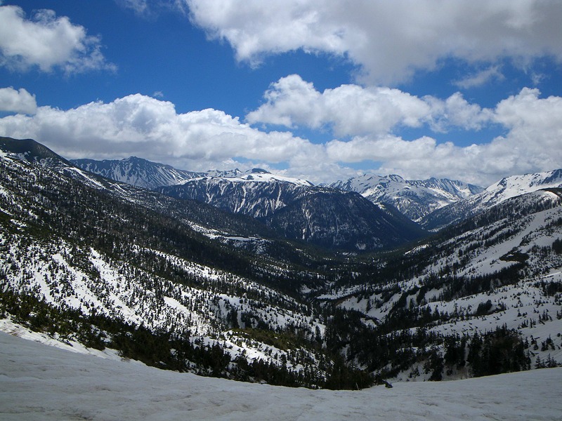 a0196565_21302718.jpg