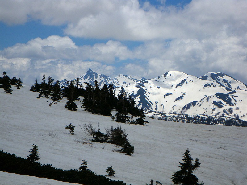 a0196565_2131754.jpg