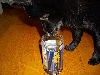 e0002466_22175834.jpg