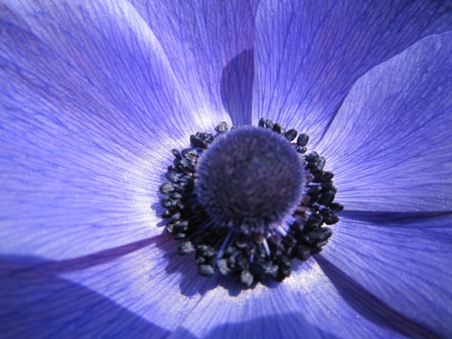 c0202870_15495436.jpg