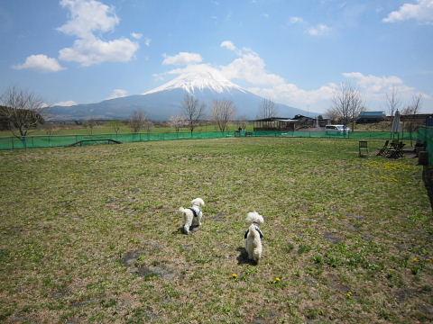 b0104592_17373952.jpg