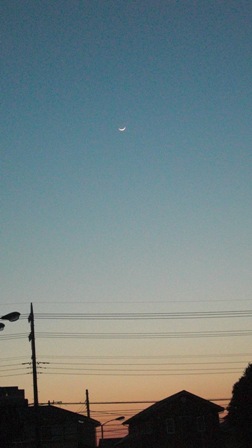 f0205793_3521678.jpg