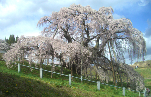 b0099994_10515270.jpg