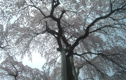 b0099994_10522975.jpg