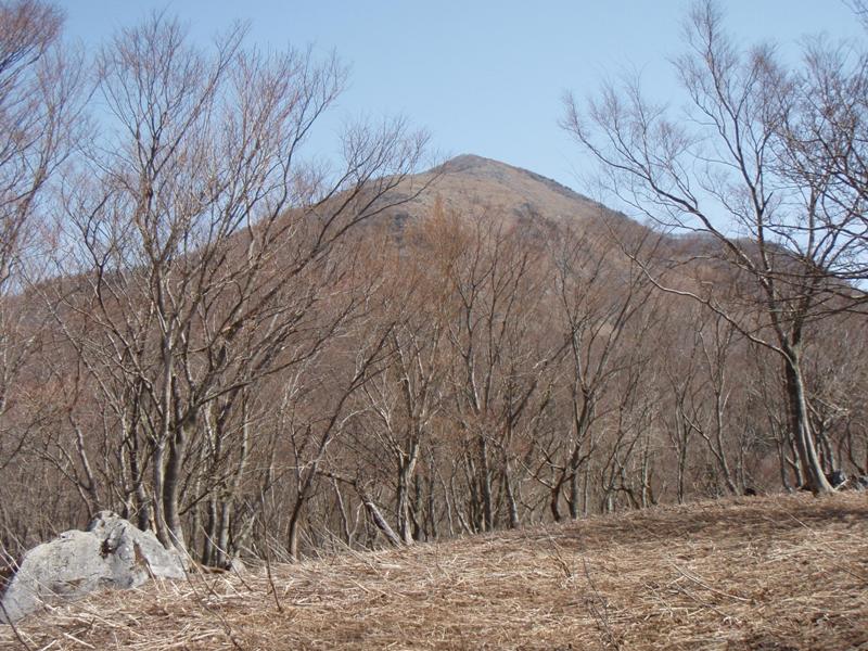 b0039898_18372786.jpg