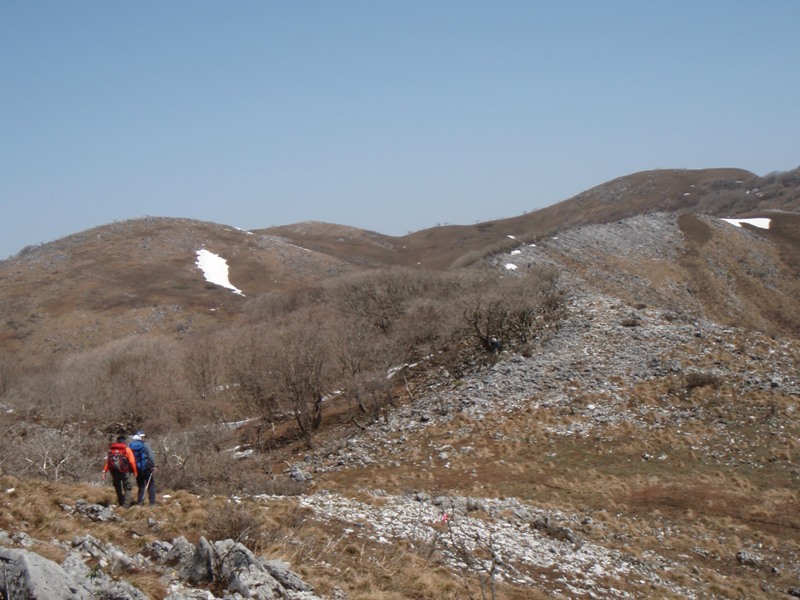 b0039898_1941541.jpg