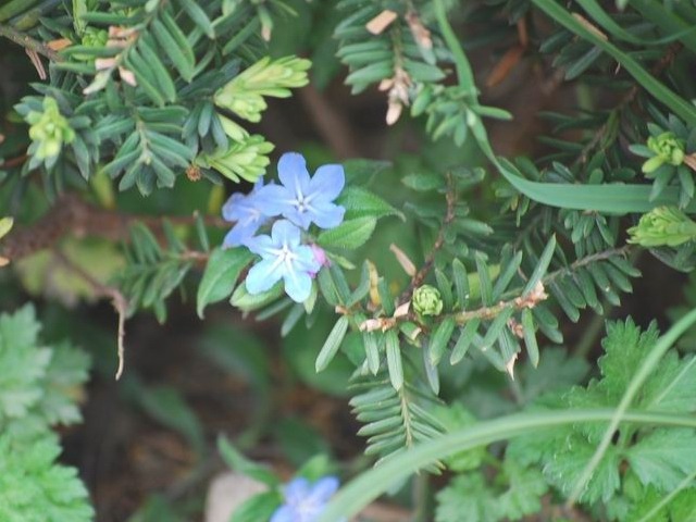 e0025300_18342767.jpg