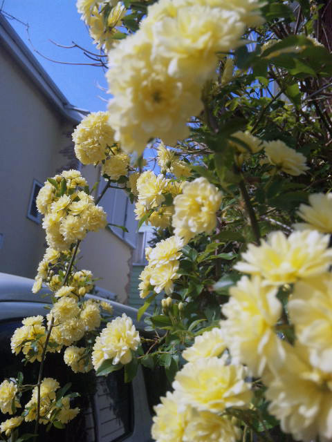 f0034602_17254482.jpg