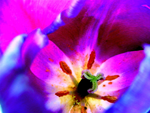 a0157704_10163072.jpg