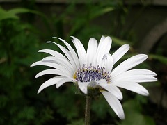 c0190010_13393531.jpg
