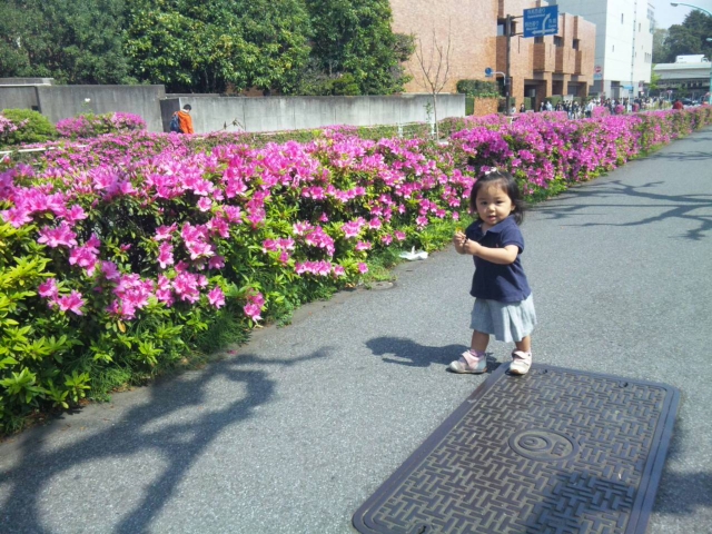 f0041311_9351422.jpg