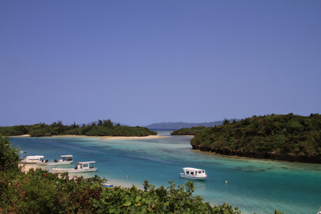 f0207313_21302238.jpg