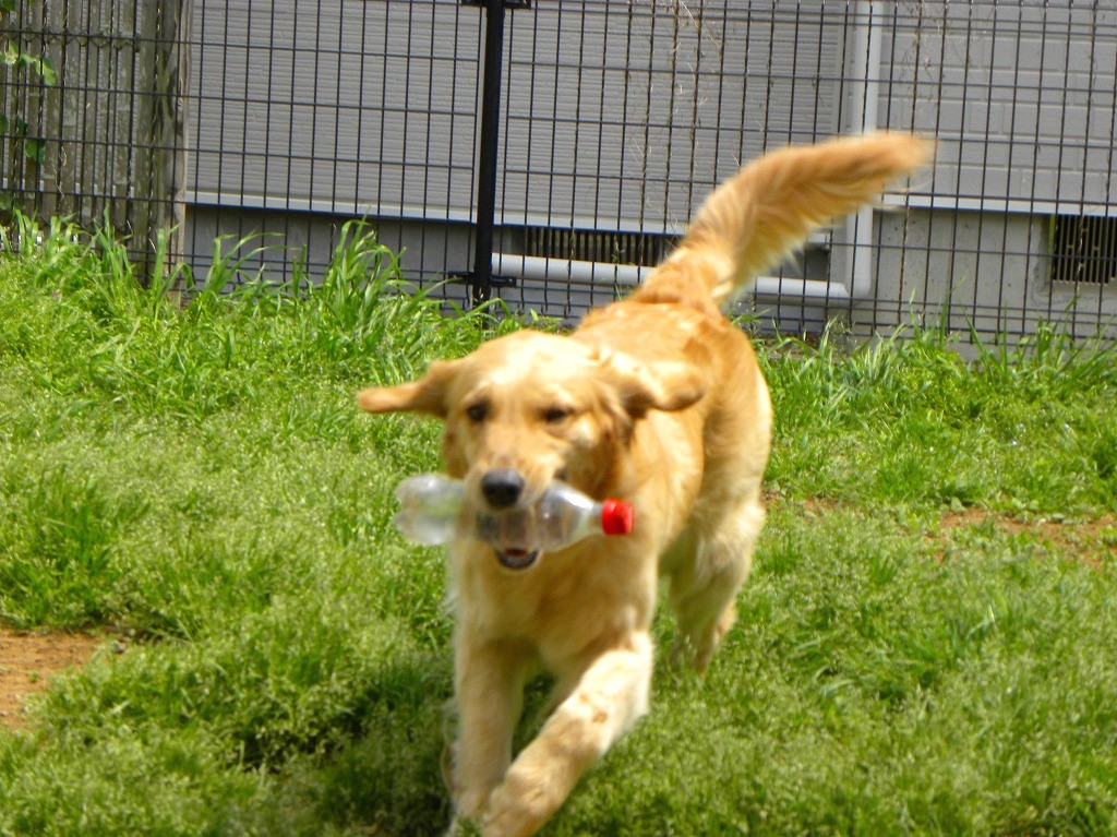 e0204314_1339273.jpg