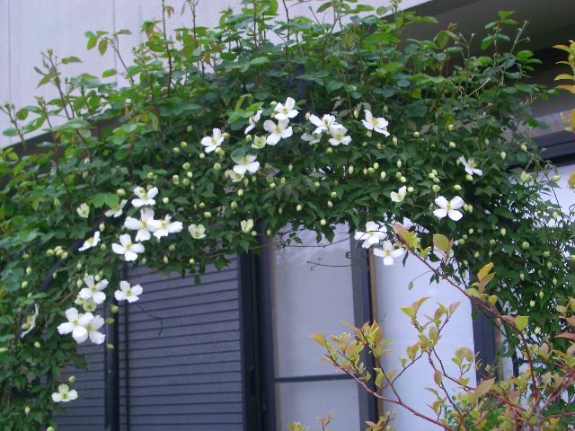 d0169618_9323953.jpg
