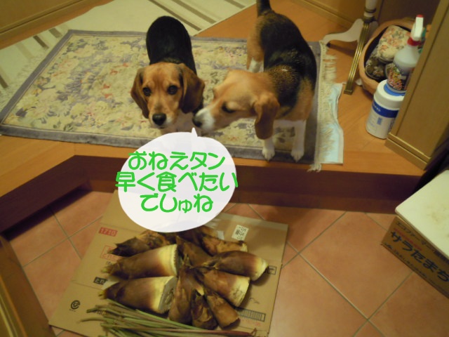 c0166622_14201279.jpg