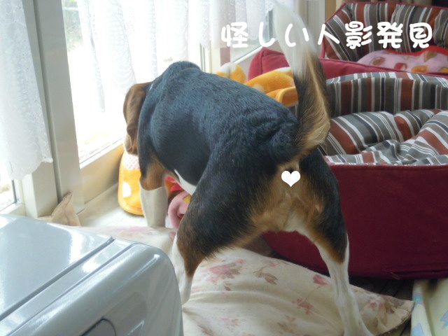 c0166622_14222047.jpg