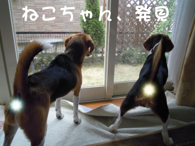 c0166622_14231580.jpg