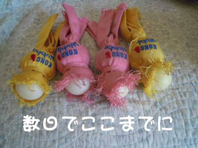 c0166622_14261296.jpg