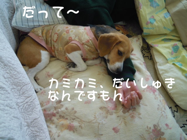 c0166622_14273387.jpg