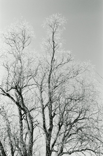 f0182924_203979.jpg