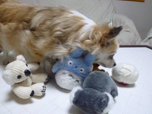 b0138430_20115895.jpg